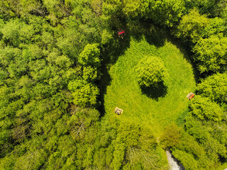 Scene in a park. Glade with tables and benches for picnic in a forest park one man sitting at a table. Aerial drone top down view, One tree right in the middle of round shape glade. © mark_gusev