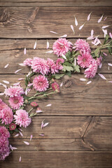 pink chrysanthemums on dark wooden background