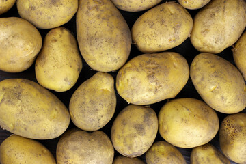 Raw organic potatoes, background, texture