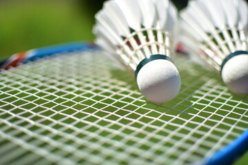 Badminton Ball and racket