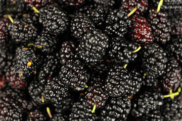 mulberry close up background, texture