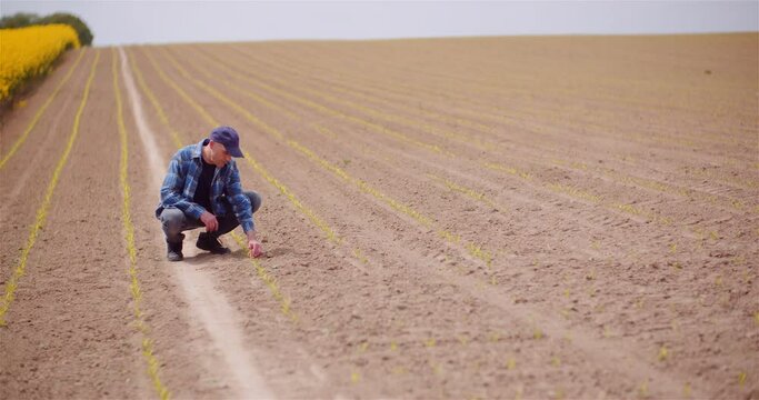 Farmer Examining Soild Dirt in Hands at Dusk
