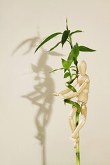 Wooden dummy clinging onto lucky bamboo plant