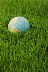 Fototapeta na wymiar Globe on grass