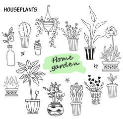 Set of cute indoor plants in pots. House of flowers and human hobbies. Botanical set - many flowerpots - cacti, tulips, flowers, seedlings, aloe, tropic. Line drawing vector