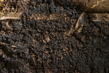 Texture of a fermented coffee beans powder, ground plant and trees fertiliser 