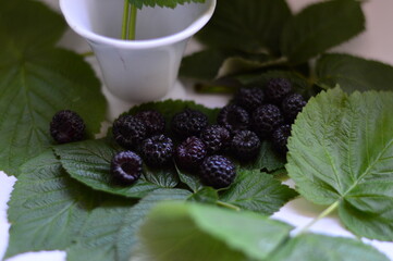 blackberry