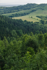Fototapeta premium Beautiful mountain landscape many trees