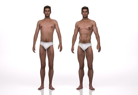 3D Render : the portrait of ectomorph (skinny) male and mesomorph (muscular) male compare to each other