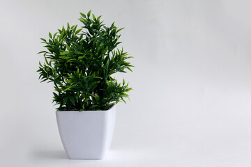 Artificial green flower in a white pot on a white background.