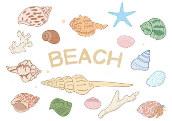 貝殻とサンゴとヒトデのイラスト