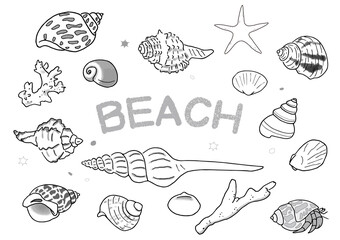 貝殻とサンゴとヒトデのイラスト