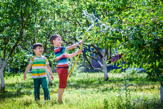 Children playing with garden sprinkler. Preschooler kids run and jump. Summer outdoor water fun in the backyard.