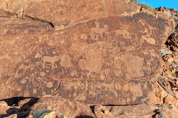 Rock engravings at Twyfelfontein in Damaraland