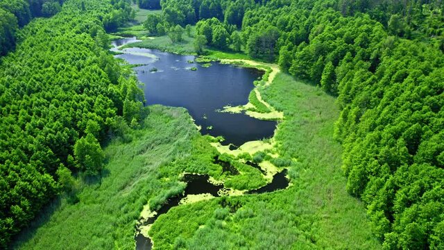 Aerial view of green river in summer, Poland