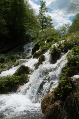 Obraz premium Plitvice national park