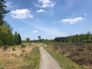 Bicycle path through the forest around Rheeze