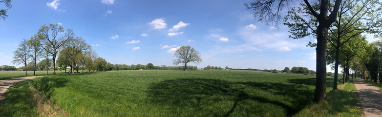 Fototapeta premium Panoramic scenery from Rheeze