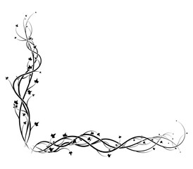 black ivy corner frame on white background vine © antondzyna