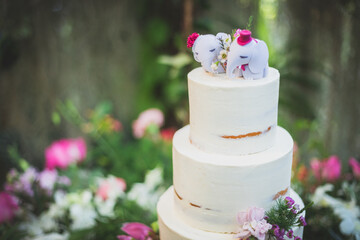 Obraz na płótnie Canvas wedding cake in the garden