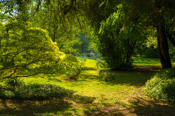 View of the avenues of the park of Ninfa, an ancient medieval town located in the province of Latina, Italy. 