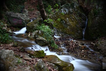 A floating river at mountain Pelion 