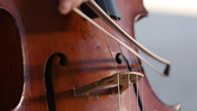 Concierto al aire libre violonchelistaChelo, m&uacute;sica, arte, alegr&iacute;a, vuelta, musical, directo, m&uacute;sico, joven, feliz, sonido, violinista, felicidad, aire libre, libertad, inspiraci&oacute;n, entretenido.