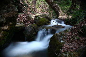 A floating river at mountain Pelion 
