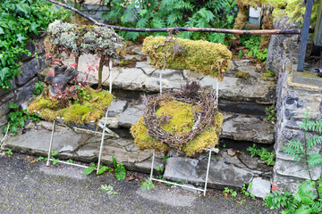 Metal chair covered by moss and plants as decoration