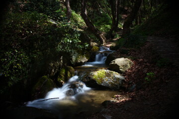 A floating river at mountain Pelion 