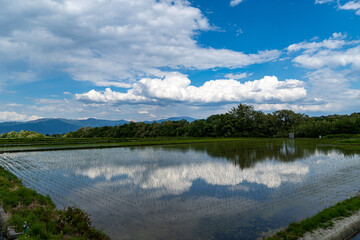 夏の空