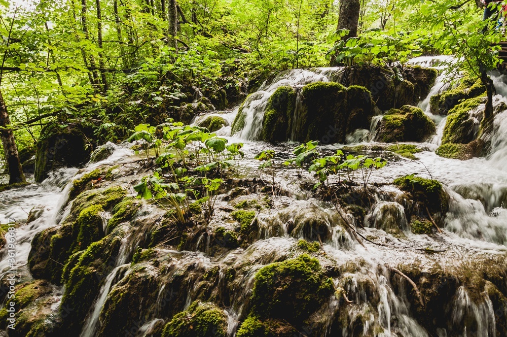 Wall mural Long exposure of water flowing between mossy rocks