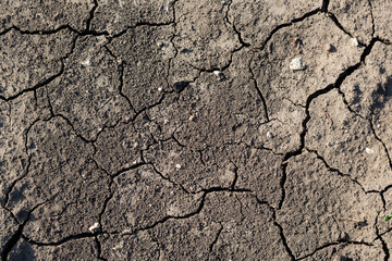 Texture of cracked dried soil. Dry ground with cracks. Brown rough surface of the soil during summer drought. Great for background and design. Ecology, climate change and global warming on Earth.