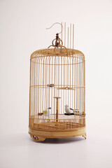 Bird in a birdcage with its door open