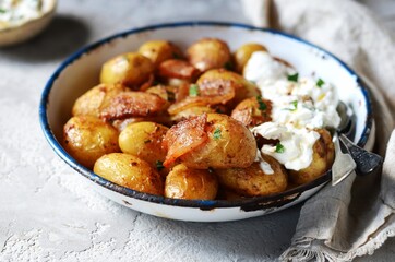 Baked young potatoes with bacon and sour cream sauce on a gray background, still life