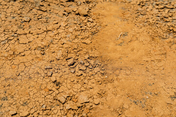 Soil cracked background.Land in dry season.