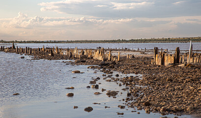 Wooden columns protrude from the kuyalnitsky estuary