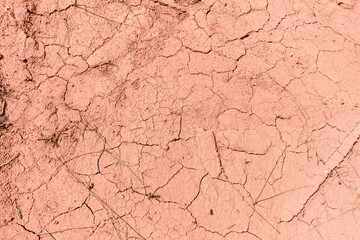 Cracked earth. Stalks of dry grass. Concept of climate change, drought, crop death from heat.