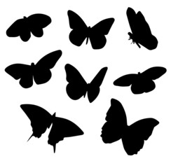 Vector Icon Illustrator Isolated Background White