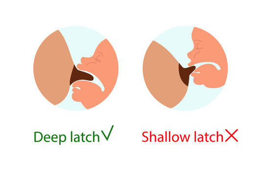 Breastfeeding, how to apply to the breast. Deep latch, shallow latch. Correct breastfeeding position. Mother feeds baby with breast. Vector stock illustration isolated on white background