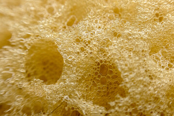 Abstract macro detail of a sponge