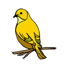 yellow bird on a branch