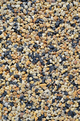 Sea stones background Nature Sea eco River