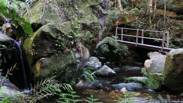 Tiny waterfall and timber foot bridge across small creek on the bed of Grand Canyon in Blue Mountains, Australia.
