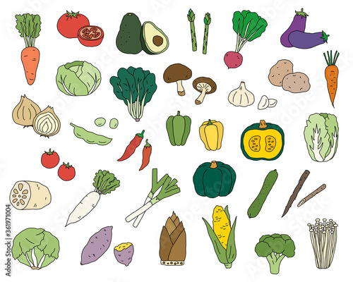 手書きの野菜のイラストのセット シンプル おしゃれ 線画 Aubergine Wall Mural Aubergi Yugoro