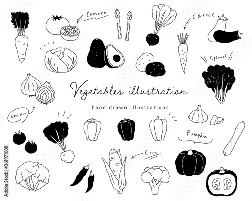 手書きの野菜のイラストのセット シンプル おしゃれ 線画 Wall Mural Yugoro