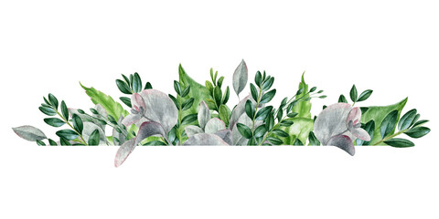 Green leaf watercolor hand drawn elegant border arrangement. Eucalyptus and buxus exotic leaves in decorative bouquet. Lush tropical floral green decor for wedding card on white background - obrazy, fototapety, plakaty