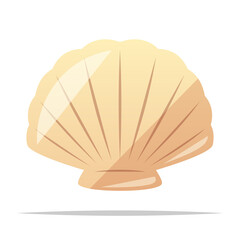 Seashell vector isolated illustration