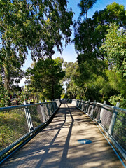 Beautiful walking and cycling trail near Rydalmere, New South Wales, Australia
