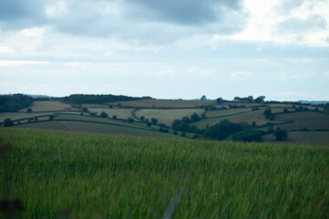 Fototapeta premium Close up of grassy field with hills and fields visible in the distance. Slightly moody sky.